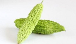 苦瓜特效爆料视频大全,视频大全带你领略神奇功效