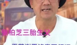 吃瓜娱乐圈在职娱记